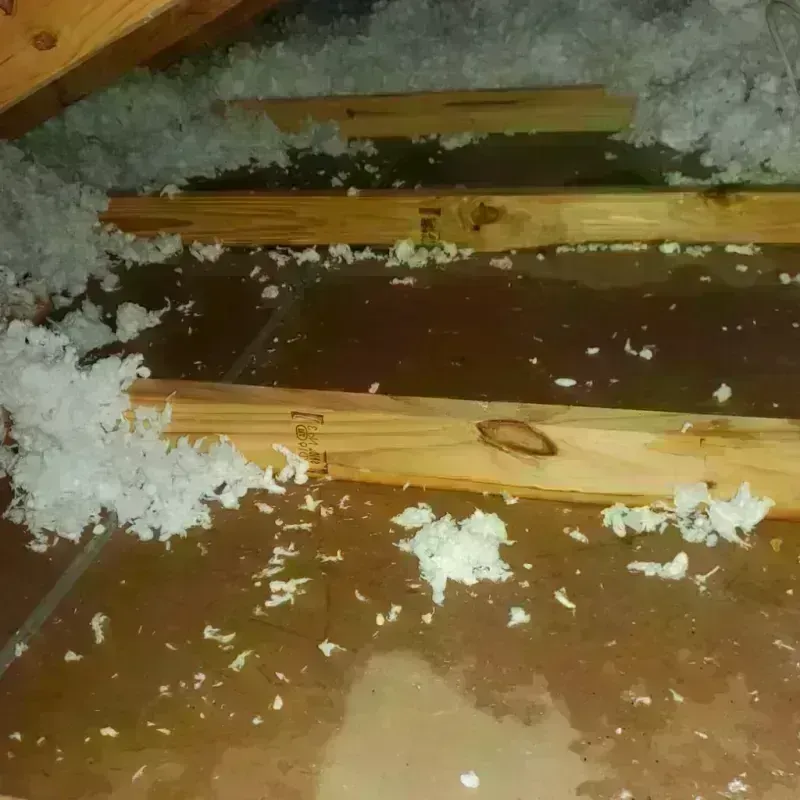 Attic Water Damage in Hazelwood, MO