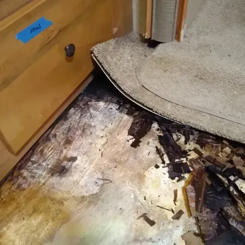 Wood Floor Water Damage in Hazelwood, MO